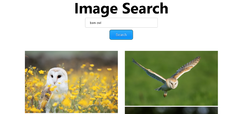 Búsqueda de imágenes con Next.js